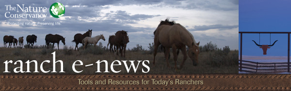 Ranch E-news: Tools and Resources for Today's Ranchers