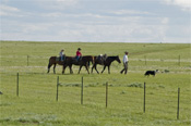 Ranchers - Jack DAllen Kirk