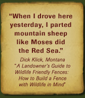 quote_1.jpg