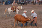 Rodeo