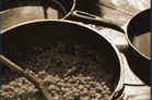 At the Cookstove