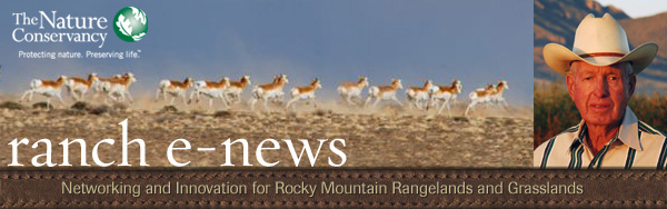 Ranch E-News